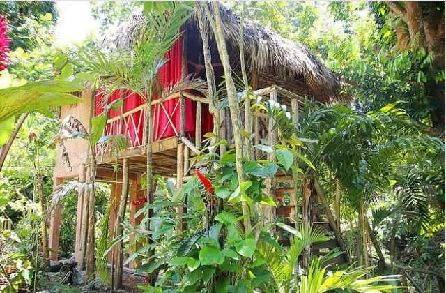 Samana Tropical Village Hotel